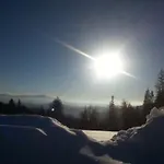 Arber Alm * バイエリッシュ・アイゼンシュタイン