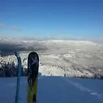 Arber Alm