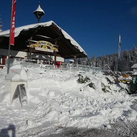 Apartament Arber Alm *