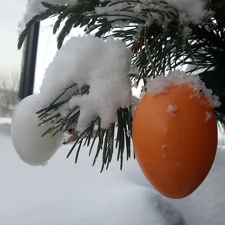Arber Alm Apartament Bayerisch Eisenstein
