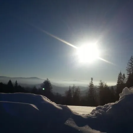 Arber Alm * Bayerisch Eisenstein