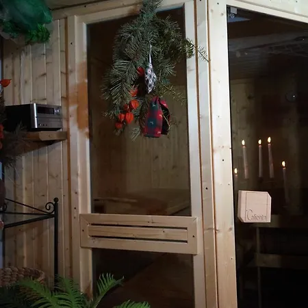 Arber Alm Apartament *