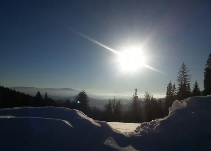Arber Alm * Bayerisch Eisenstein