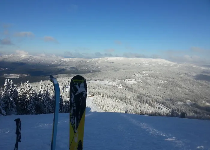 Arber Alm