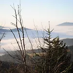 Daire Arber Alm Bayerisch Eisenstein