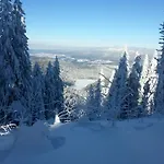 Daire Arber Alm Bayerisch Eisenstein