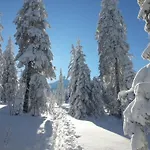 Arber Alm