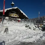 Daire Arber Alm *