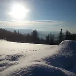 Daire Arber Alm *