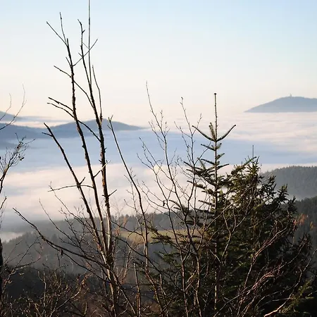 Διαμέρισμα Arber Alm Bayerisch Eisenstein