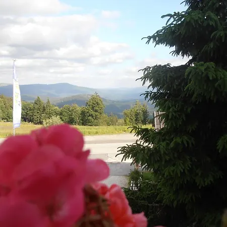 Appartement Arber Alm *