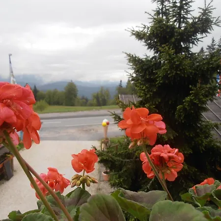 Arber Alm Bayerisch Eisenstein