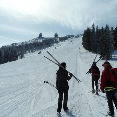 Arber Alm Bayerisch Eisenstein