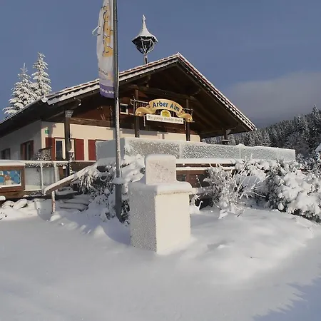 Arber Alm Bayerisch Eisenstein