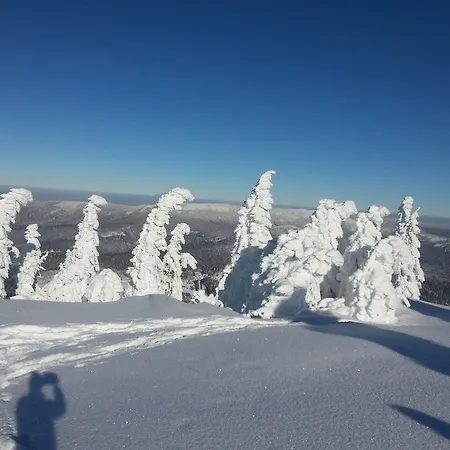 Διαμέρισμα Arber Alm Bayerisch Eisenstein