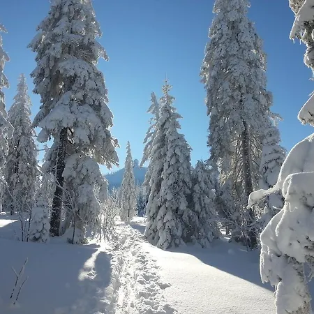 Arber Alm