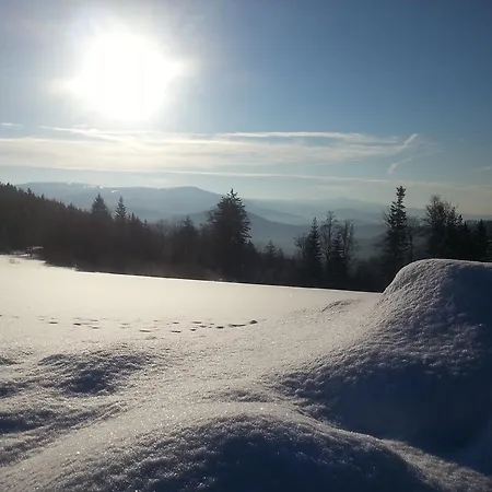 Appartement Arber Alm *