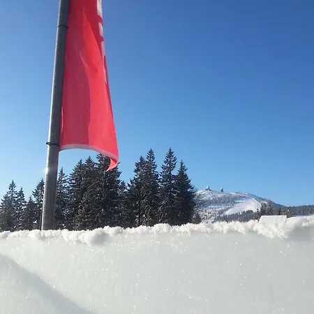 Arber Alm Διαμέρισμα Bayerisch Eisenstein