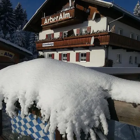 Arber Alm Bayerisch Eisenstein